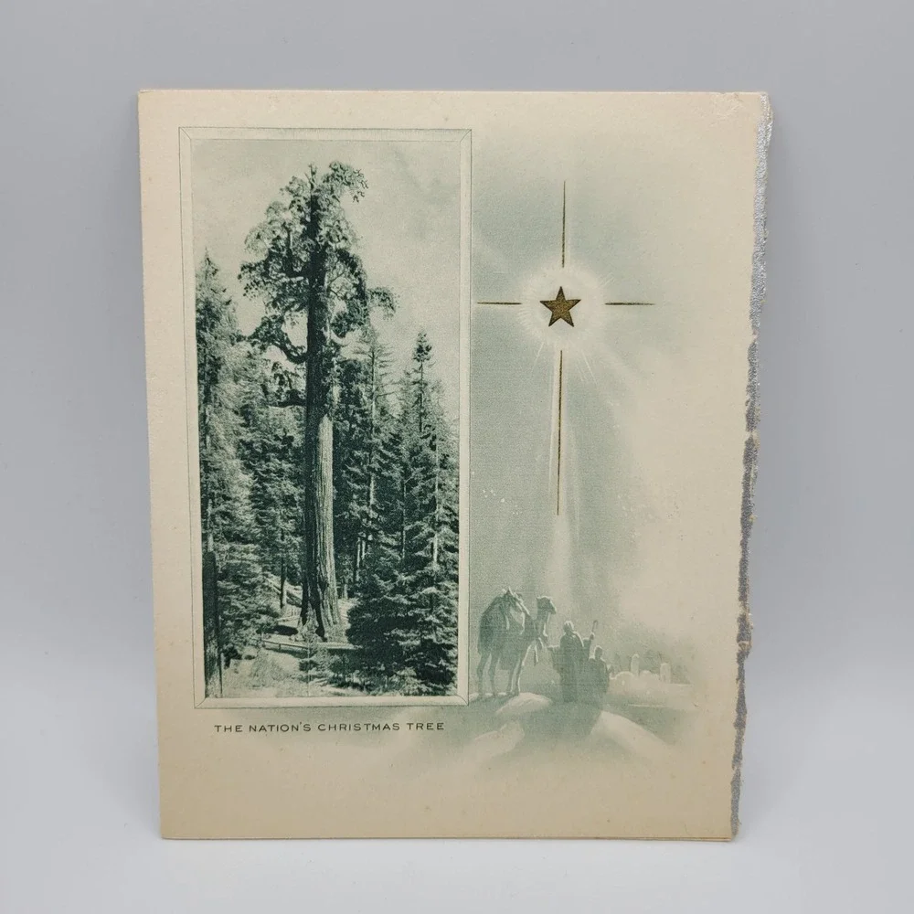 Vintage Christmas Card Nation's Tree Badger Lumber Holiday‎ Wishes